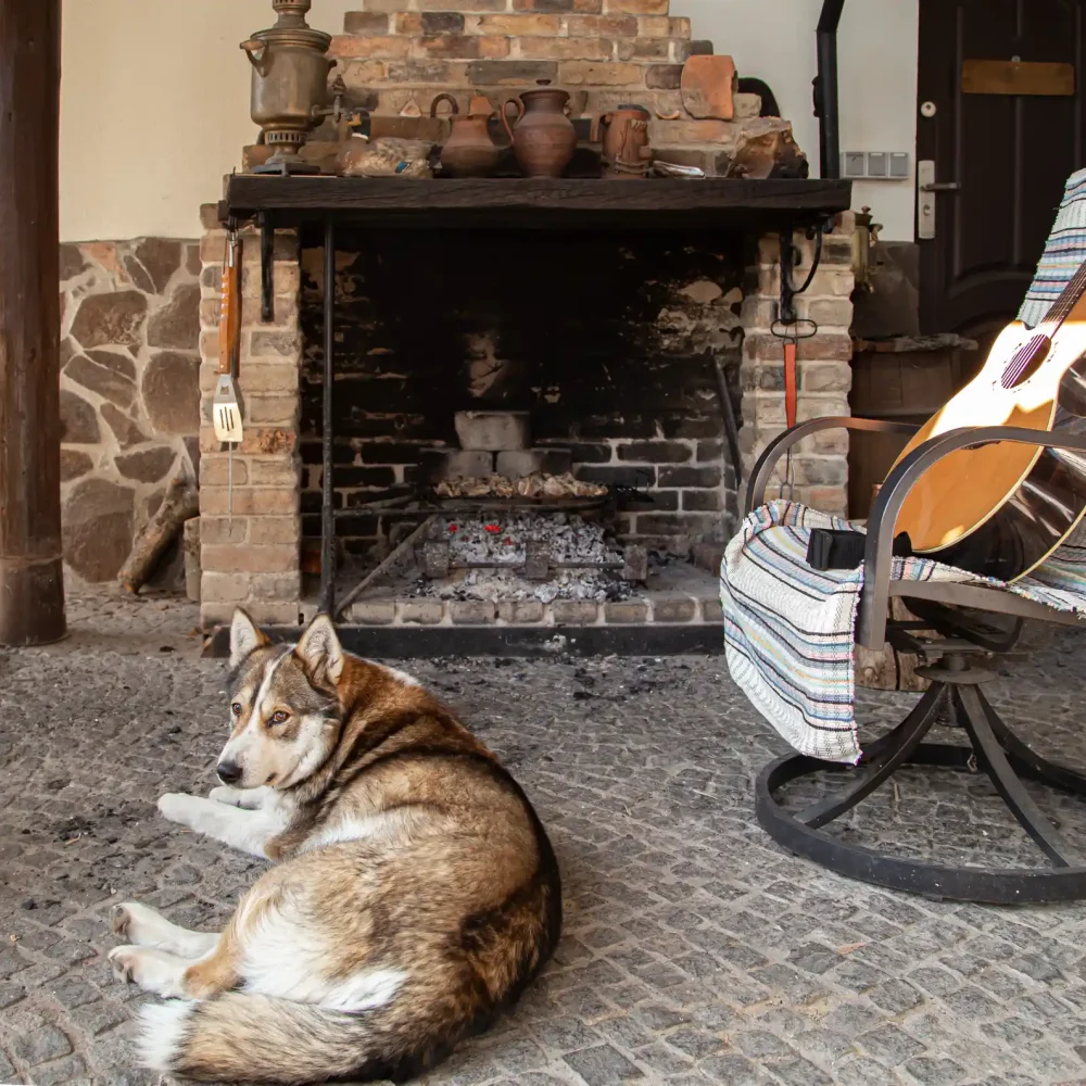 a-husky-dog-is-lying-by-the-fireplace-2023-11-27-05-25-04-utc_result