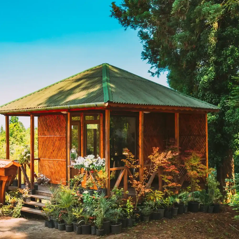 wooden-shed-house-store-with-seedlings-and-flowers-2023-11-27-05-31-59-utc_result